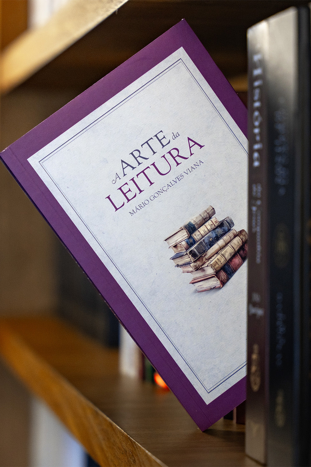 A Arte da Leitura – Mário Gonçalves Viana