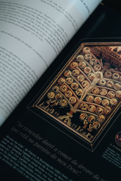 O Apocalipse Explicado - Comentários, Fotografias e Ilustrações