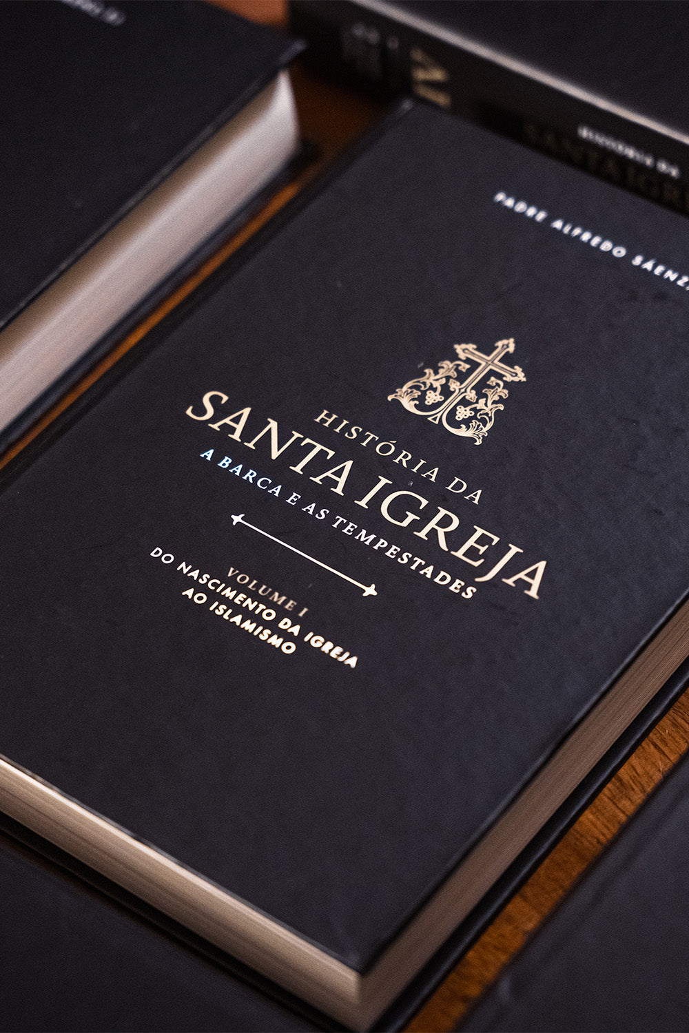História da Santa Igreja: A Barca e as Tempestades - Padre Alfredo