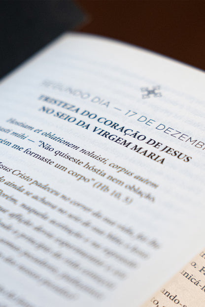 Meditações para Todos os Dias do Ano - Santo Afonso de Ligório (Três volumes)